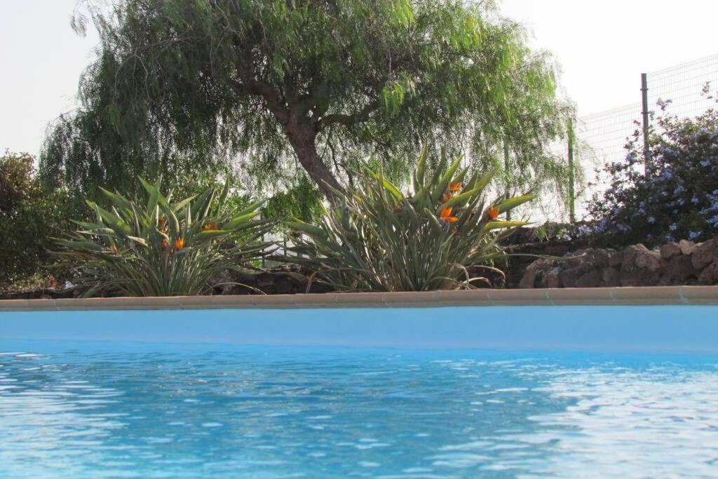 Heated & Shared Pool Villa Matriana 36B, North Shore Villas La Oliva Zewnętrze zdjęcie